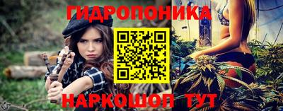 бутират Кингисепп